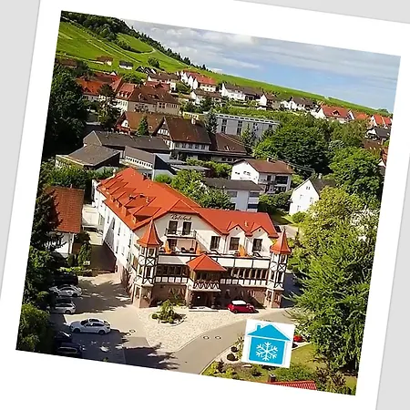 Rebstock Baden-Baden