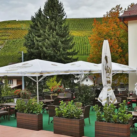 Rebstock Hotel 4*