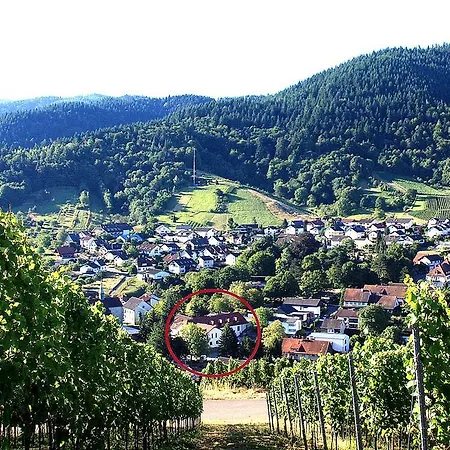 Hotel Rebstock